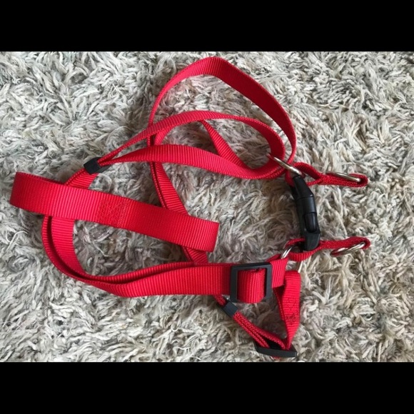 Youly's Red Webbed Nylon Dog Harness XXXLG Saint Bernard, Bull Mastiff, Big Dogs - Picture 3 of 9
